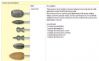 Diacryl - brousek sada 6ks
