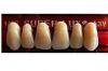 Zuby Major front�ln� VITA horn� 6ks