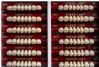 Zuby Major diatorick� VITA horn� 12x8 ks 96 zub�