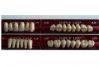 Zuby Major kombinace VITA 1x28 ks 28 zub�