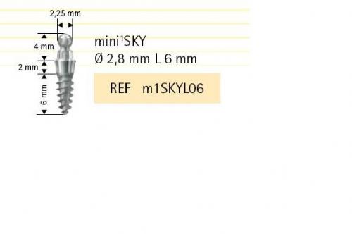 Mini1SKY implantát pr.2,8mm L6mm 1ks